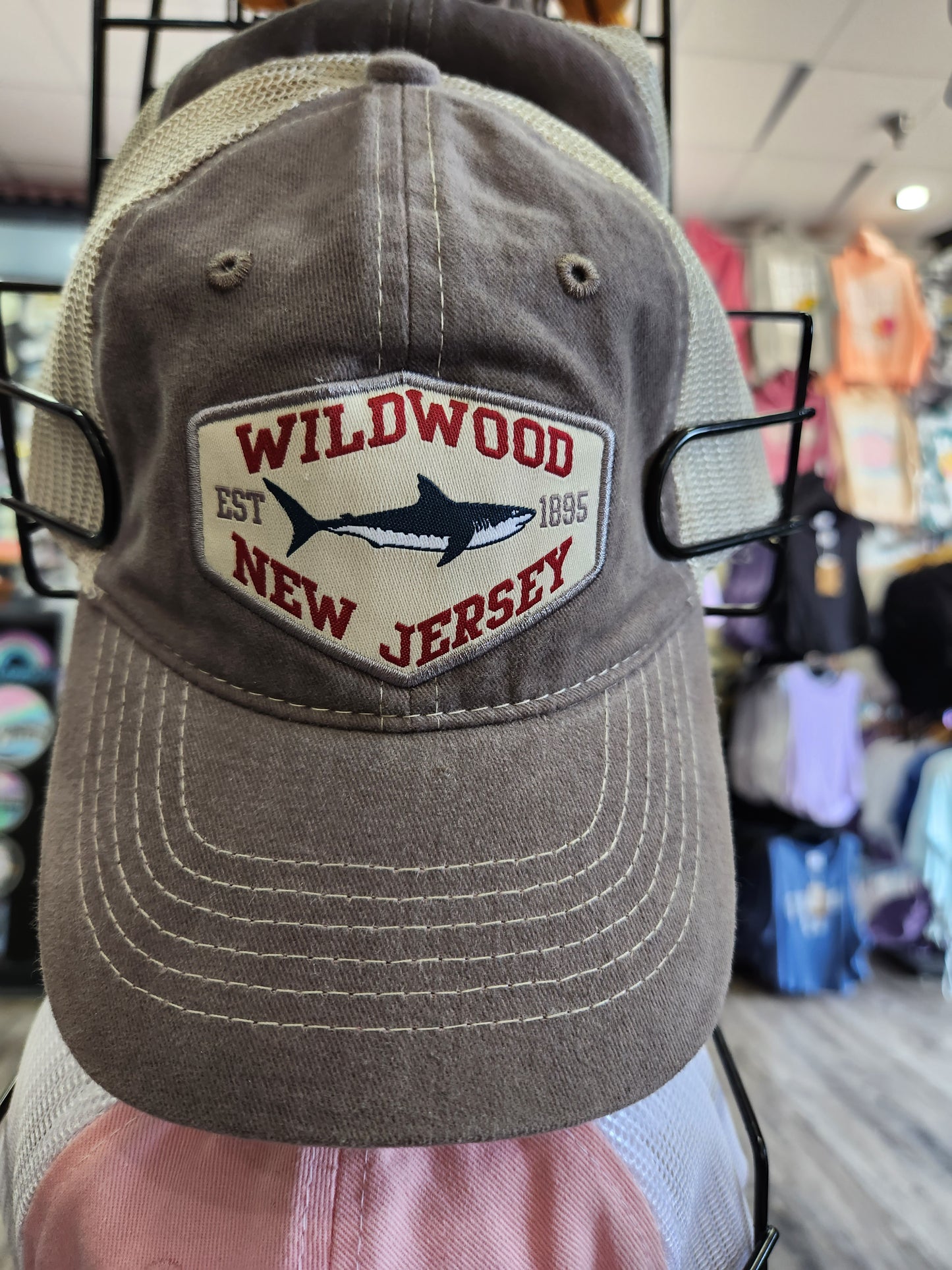 Wildwood Shark 1895 NJ Unisex Grey
