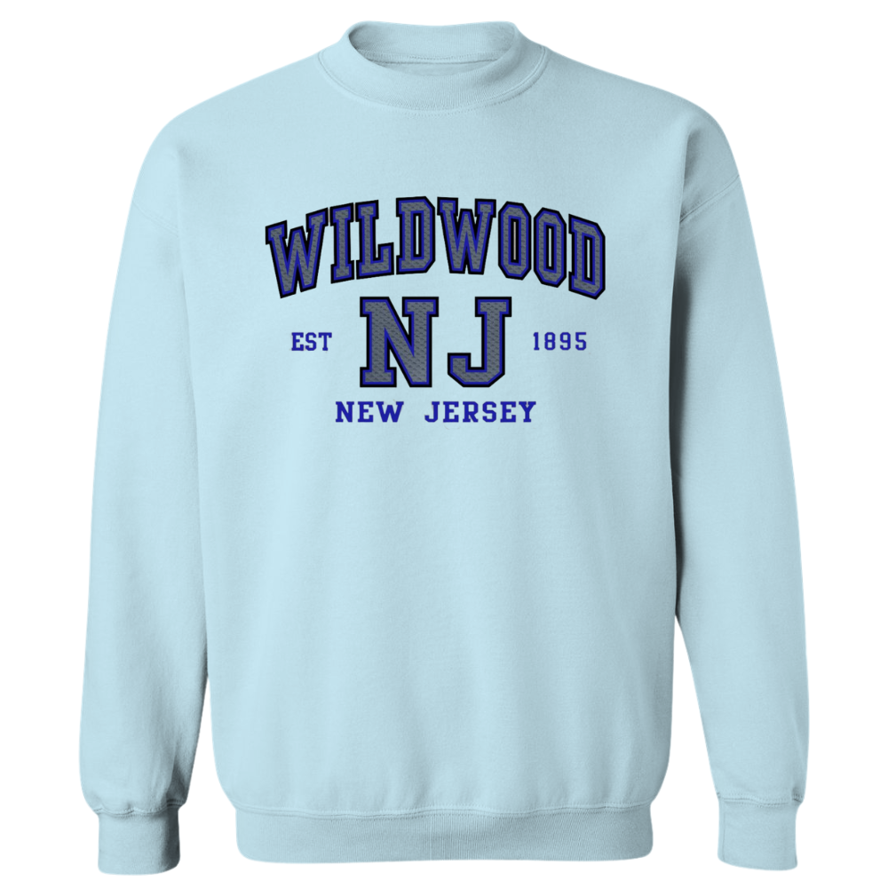Wildwood Established (Grey/Blue Patch) Crewneck Sweater