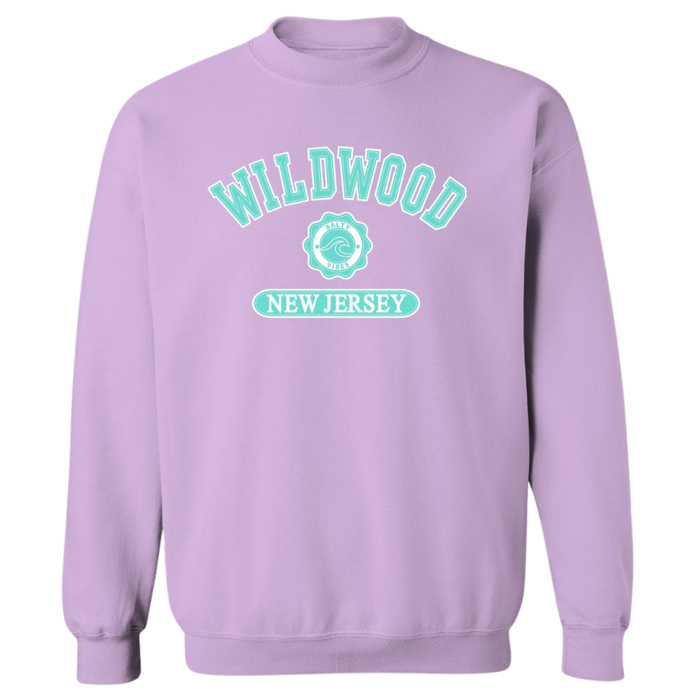 Wildwood Salty Vibes (Seafoam Patch) Crewneck Sweater