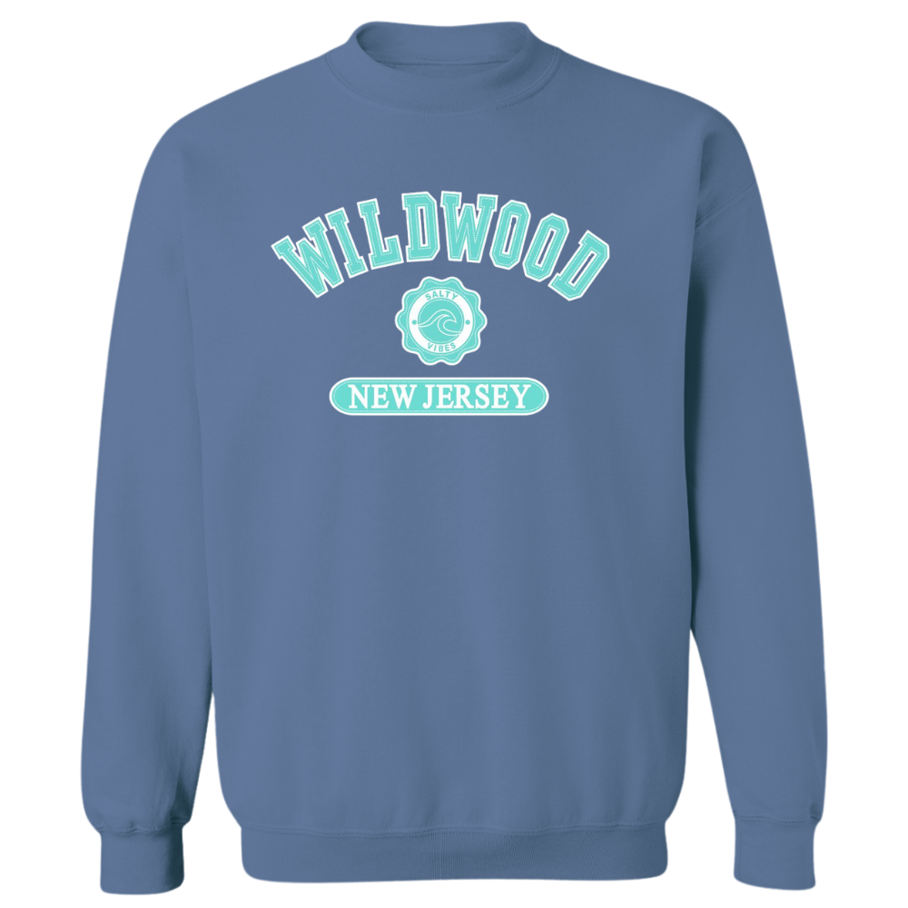 Wildwood Salty Vibes (Seafoam Patch) Crewneck Sweater