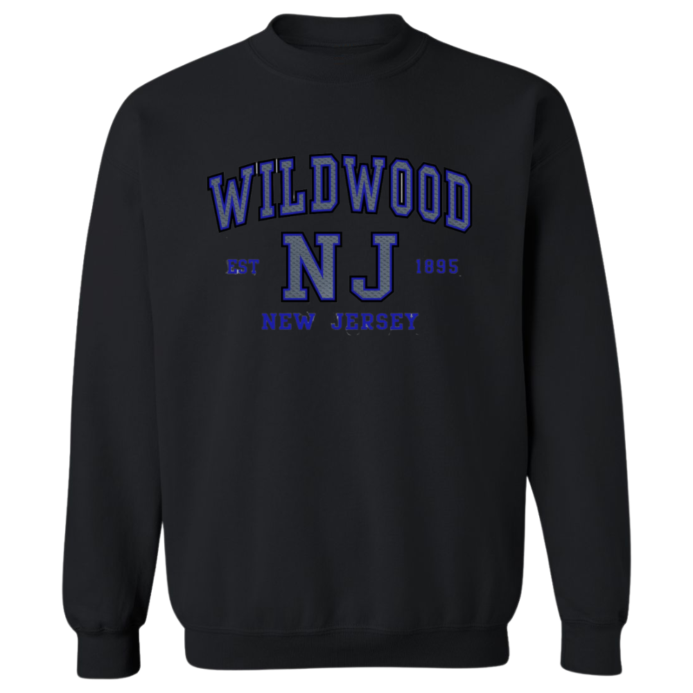 Wildwood Established (Grey/Blue Patch) Crewneck Sweater